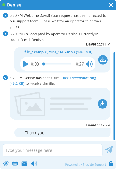 Media files preview in live chat window